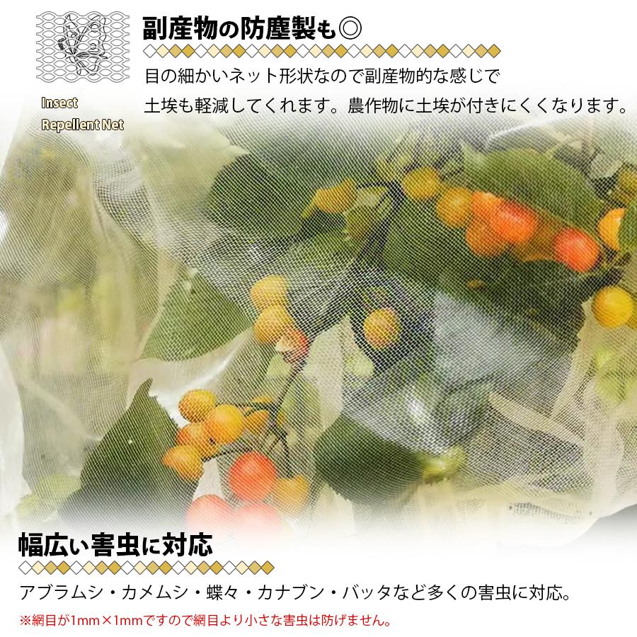 防虫ネット 3m×10m 虫除けネット 1mm目 菜園 苗 畑 農業資材 園芸資材