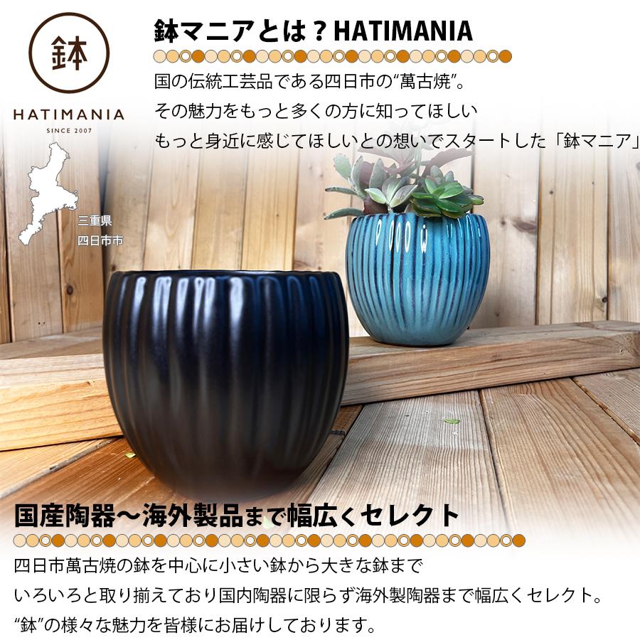 HATIMANIA 鉢マニア 丸縦筋鉢 4号 盆栽鉢 水が抜けやすい 小さい 小