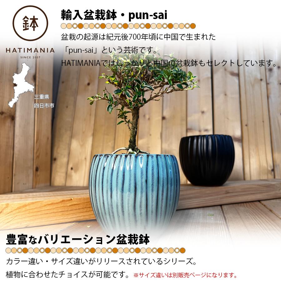 蘭鉢　盆栽鉢　植木鉢　陶芸　園芸　盆栽 HATIMANIA 鉢マニア タイコ鉢 3号 日本製 盆栽鉢 水が抜けやすい 陶器