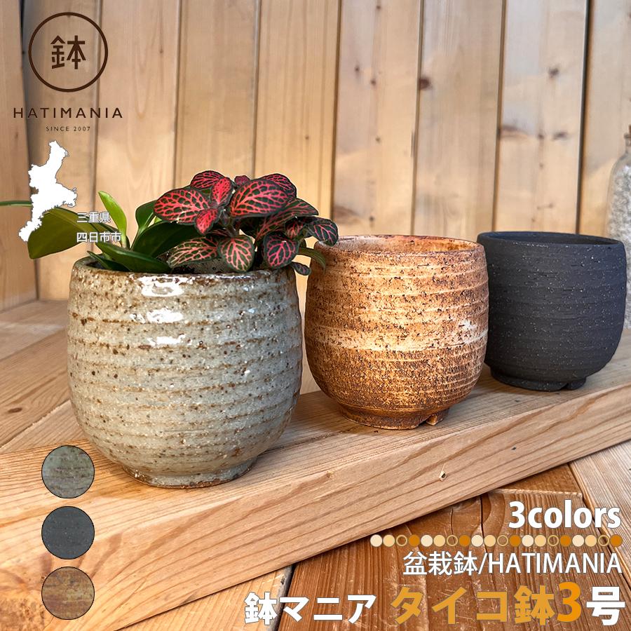 蘭鉢　盆栽鉢　植木鉢　陶芸　園芸　盆栽 HATIMANIA 鉢マニア タイコ鉢 3号 日本製 盆栽鉢 水が抜けやすい 陶器