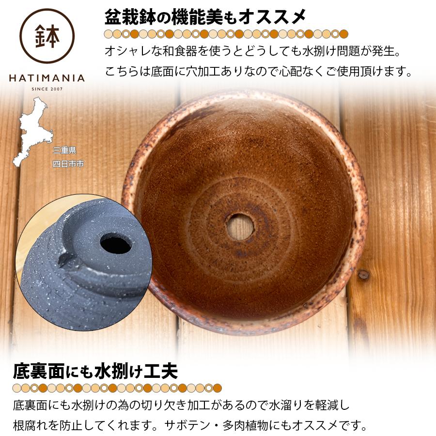 三州鬼の水鉢　（幅約39㎝） No.145 根っこつよし 3号 黒（ブラック) ラベルレス スリット入りプラ鉢