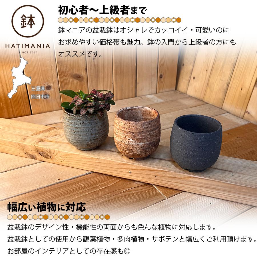 HATIMANIA 鉢マニア タイコ鉢 3号 日本製 盆栽鉢 水が抜けやすい 陶器