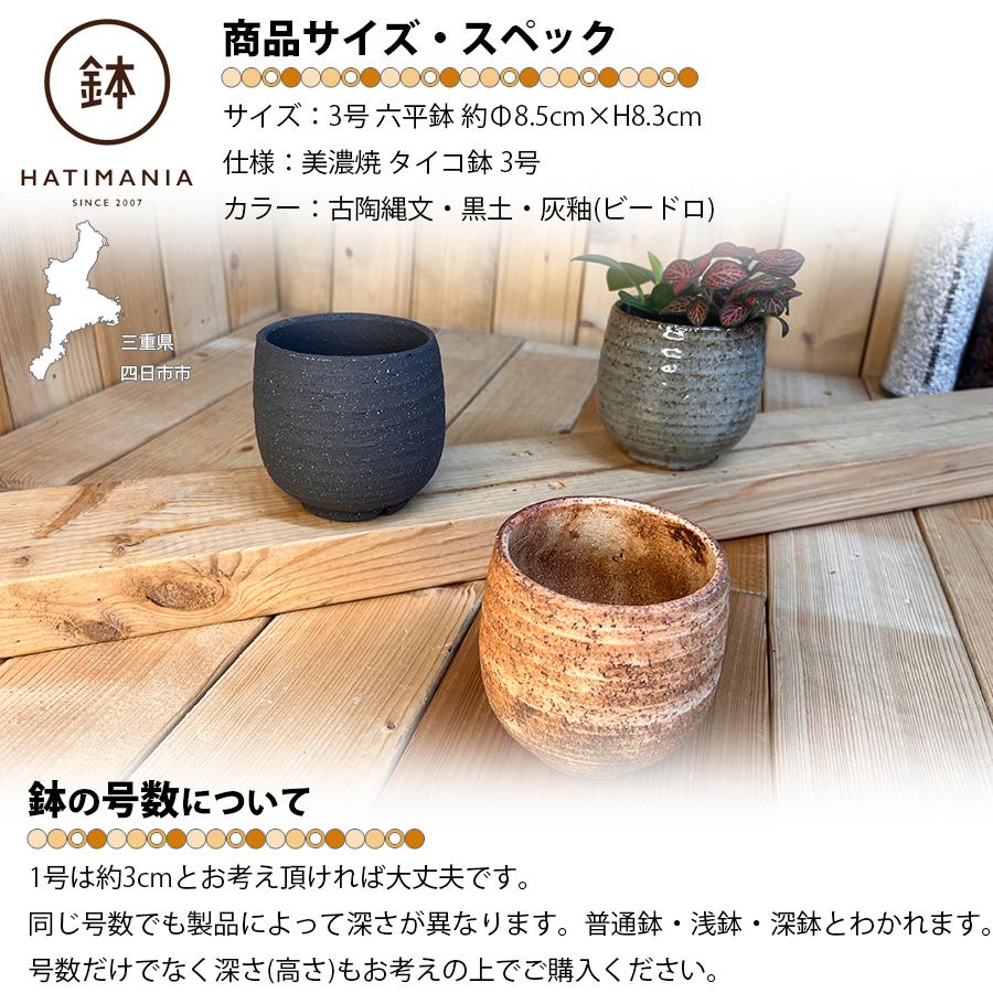 HATIMANIA 鉢マニア タイコ鉢 3号 日本製 盆栽鉢 水が抜けやすい 陶器