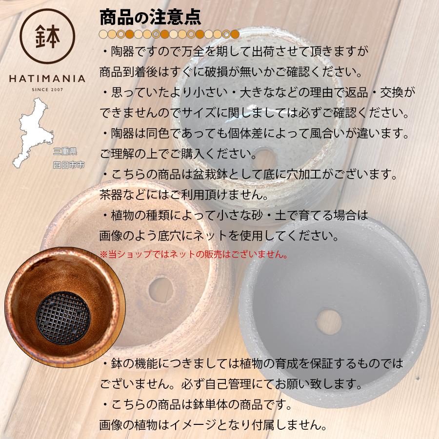HATIMANIA 鉢マニア タイコ鉢 3号 日本製 盆栽鉢 水が抜けやすい 陶器
