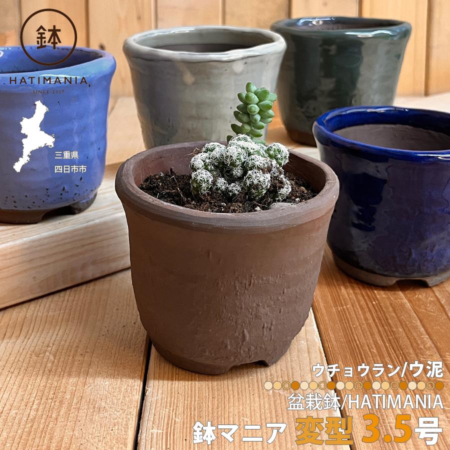 美人腰蘭鉢 多肉植物鉢 紫砂鉢 盆栽鉢 植木鉢 小品盆栽鉢 大品盆栽鉢 HATIMANIA 鉢マニア ウチョウラン ウ泥 3.5号 三重県 国内ブランド