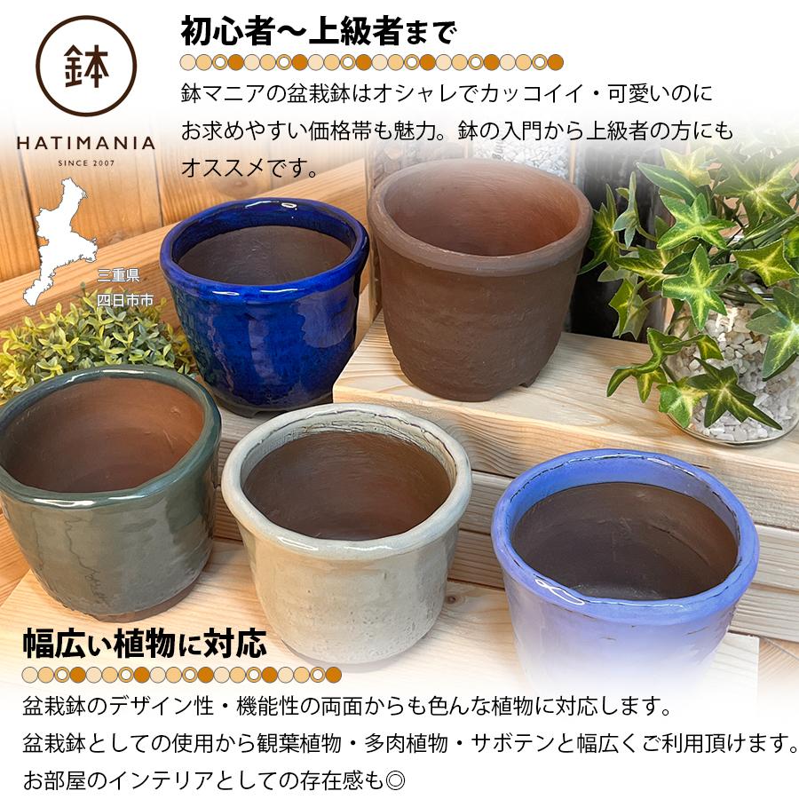 WYモダン ホワイト 白色 13号 大型 植木鉢 ウミノモリ軽石鉢 PR6 受け皿付き マット釉 鉢・プランター