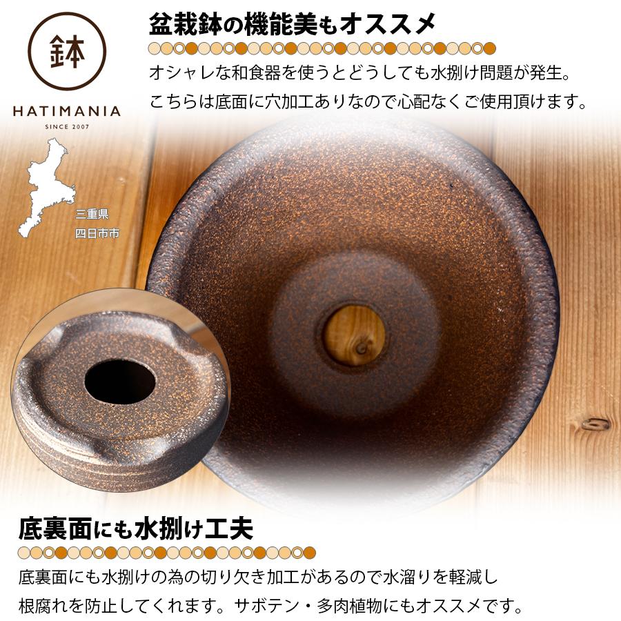 HATIMANIA 鉢マニア 金吹 3号 六平 3.5号 尻丸 ラッパ 浅型 日本製