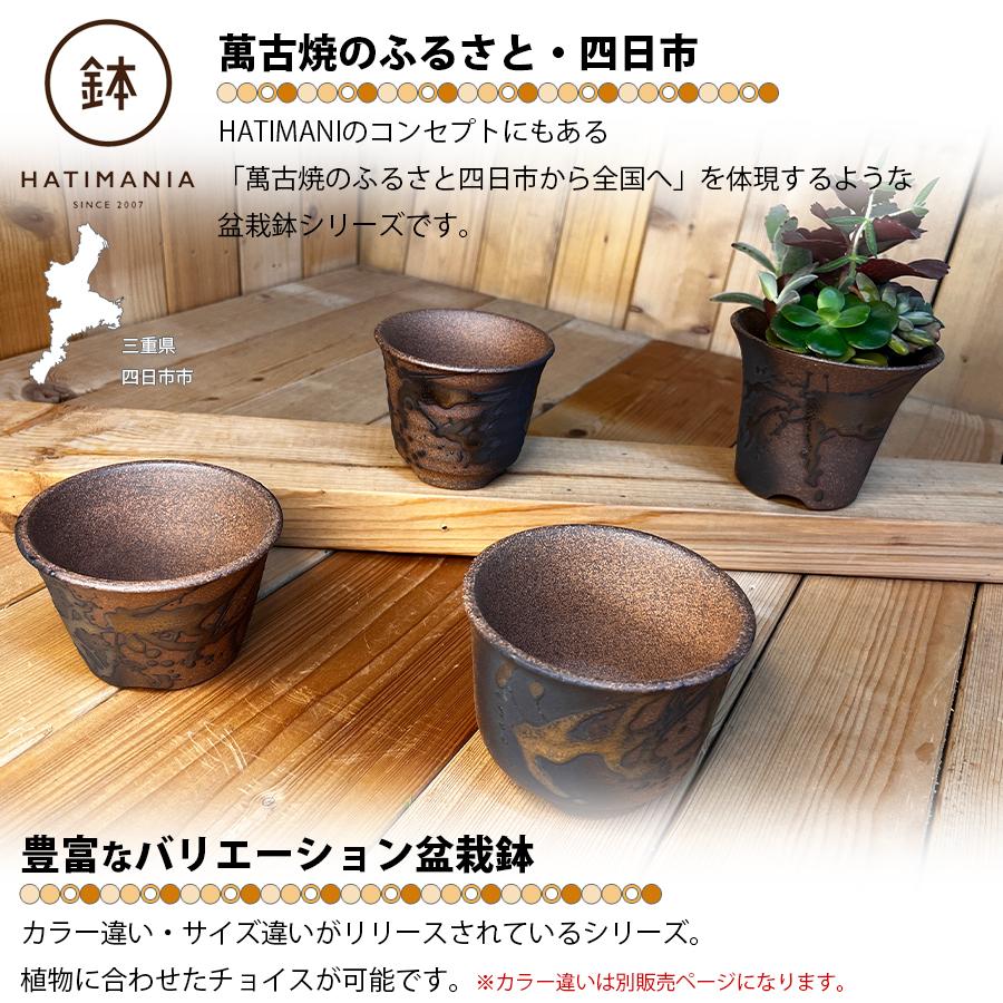 HATIMANIA 鉢マニア 金彩 3号 六平 3.5号 尻丸 ラッパ 浅型 日本製