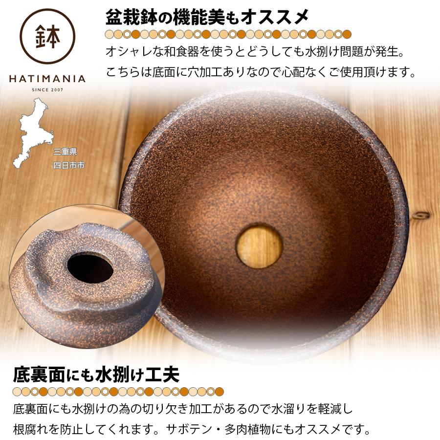 HATIMANIA 鉢マニア 金彩 3号 六平 3.5号 尻丸 ラッパ 浅型 日本製