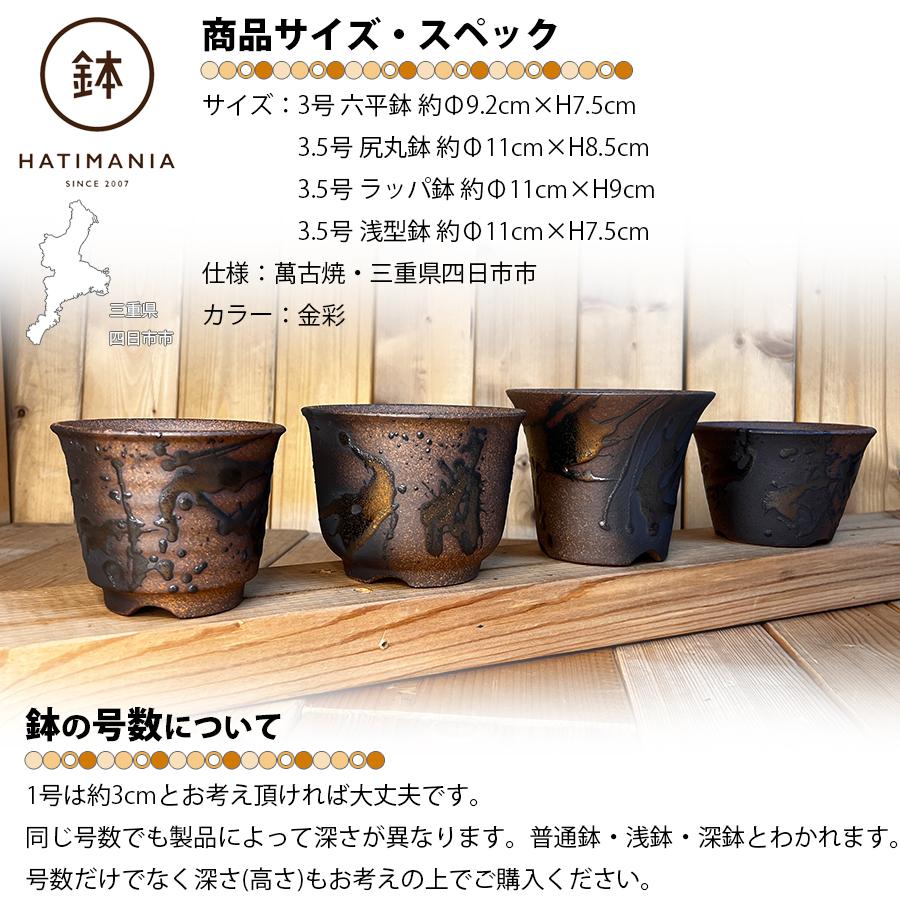 HATIMANIA 鉢マニア 金彩 3号 六平 3.5号 尻丸 ラッパ 浅型 日本製