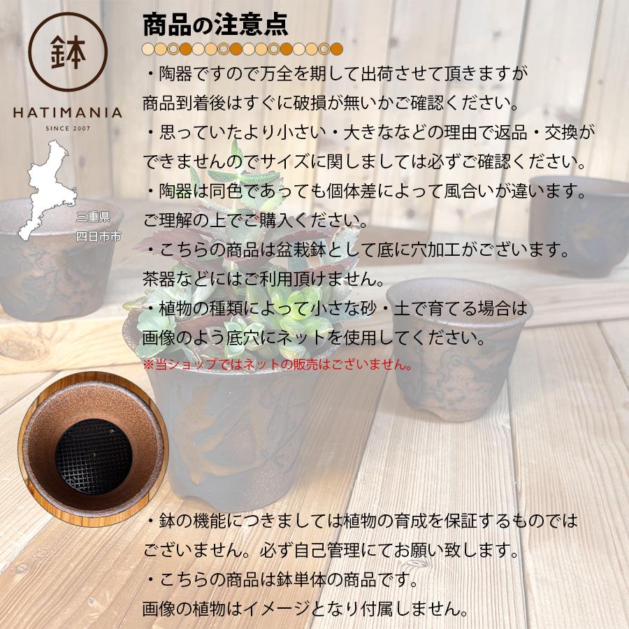 HATIMANIA 鉢マニア 金彩 3号 六平 3.5号 尻丸 ラッパ 浅型 日本製