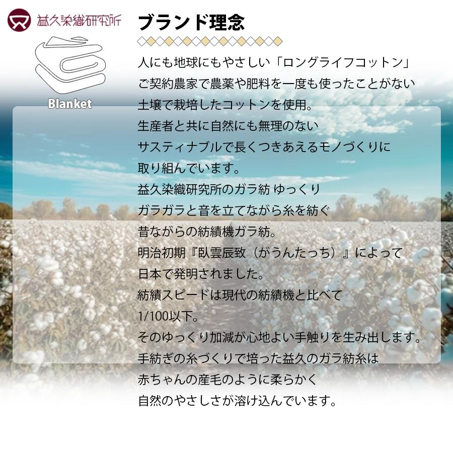 益久染織研究所 ガラ紡の和紡布ブランケット 140×200cm 益久染織研究所 ガラ紡の和紡布ブランケット 140×200cm