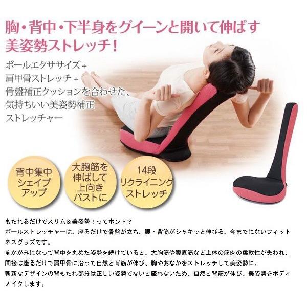 ポールストレッチャー 新感覚フィットネスグッズ 美姿勢ストレッチ