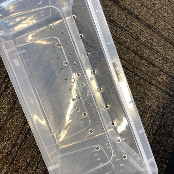 飼育ケース 飼育ケージ マルチケース Mサイズ SIKU-M 区分60S : 株式