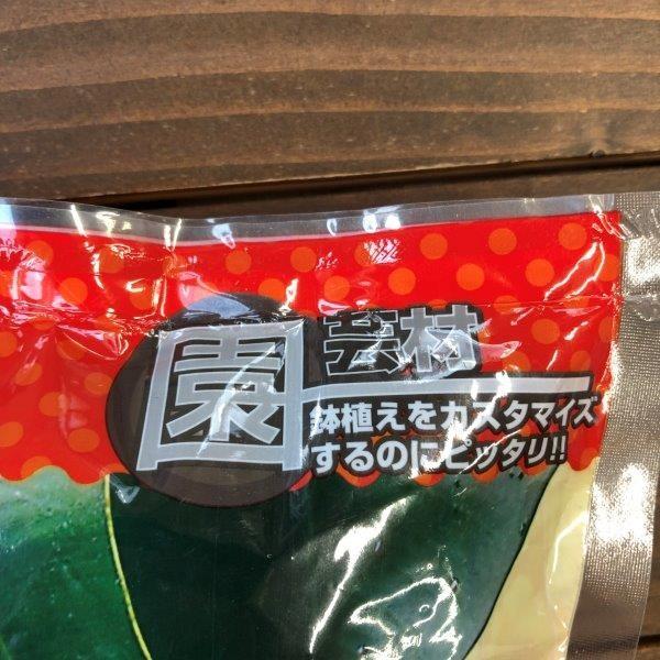 インテリアバーク バークチップ Mサイズ 0 6リットル ダイソー 1袋 Inte01 株式会社リブレ 通販 Yahoo ショッピング