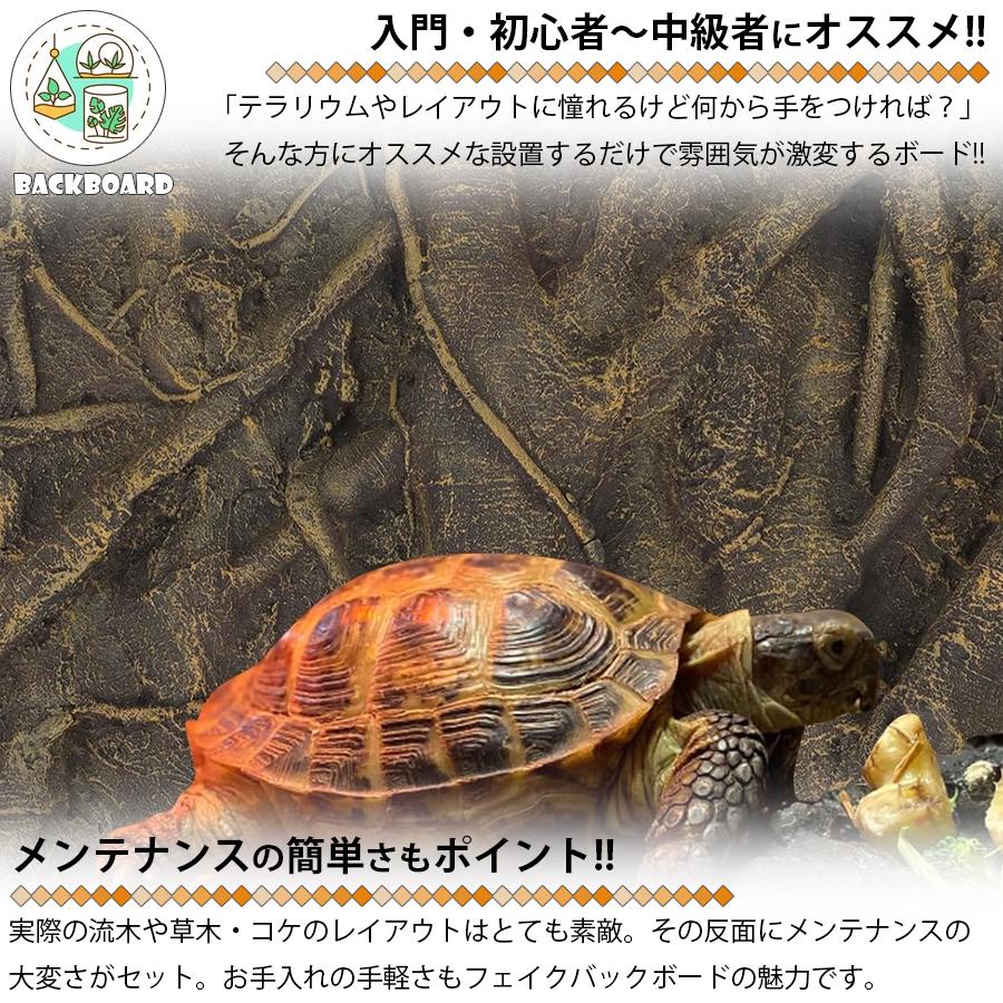 テラリウム用 バックボード 立体背景 〜木がいっぱい〜 区分100S
