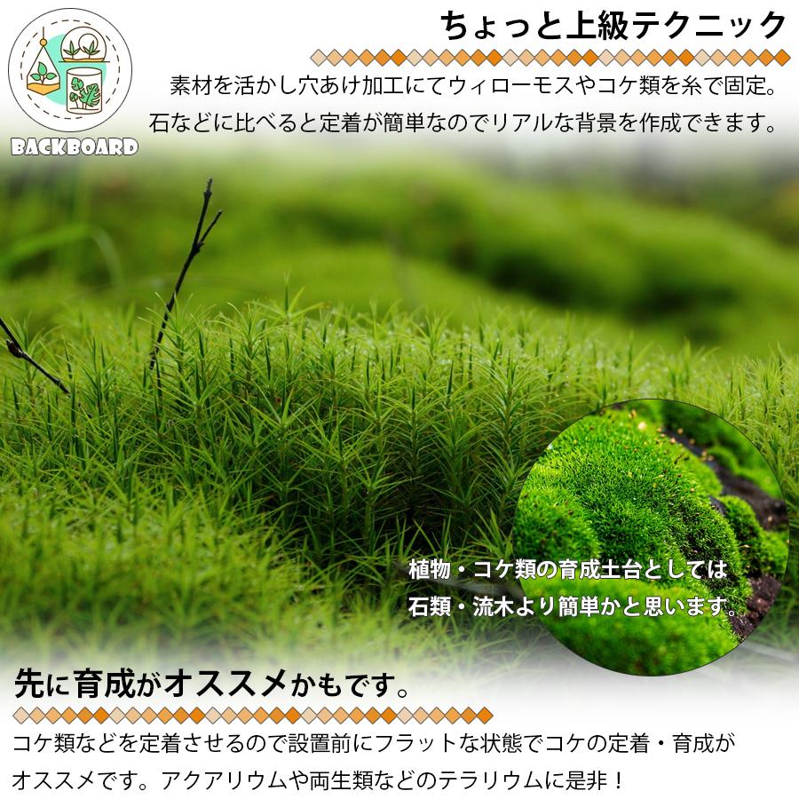 テラリウム用 バックボード 立体背景 〜木がいっぱい〜 区分100S