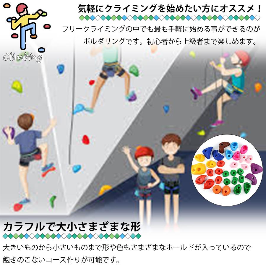 クライミングホールド ボルダリング 32個セット ボルト付き ロック