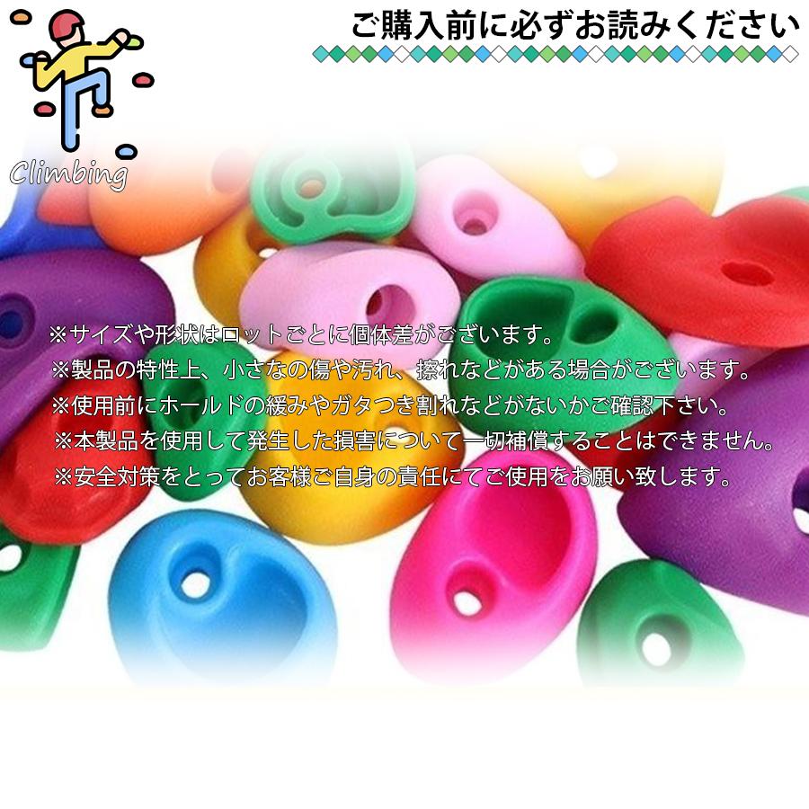 クライミングホールド ボルダリング 32個セット ボルト付き ロック