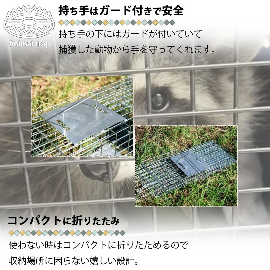 在庫処分品 捕獲器 猫 アニマルトラップ トラップ 【LLサイズ】 駆除