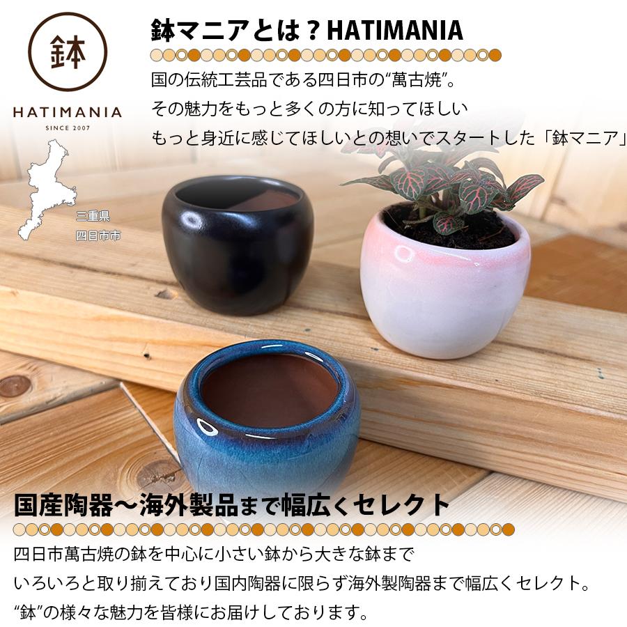HATIMANIA 鉢マニア 丸鉢 2号 盆栽鉢 水が抜けやすい 小さい 小サイズ