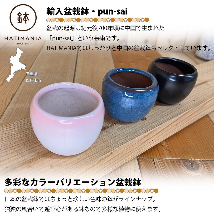 HATIMANIA 鉢マニア 丸鉢 2号 盆栽鉢 水が抜けやすい 小さい 小サイズ