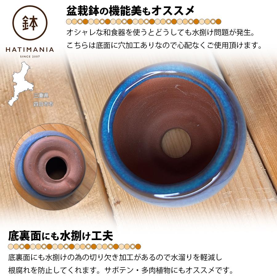 HATIMANIA 鉢マニア 丸鉢 2号 盆栽鉢 水が抜けやすい 小さい 小サイズ