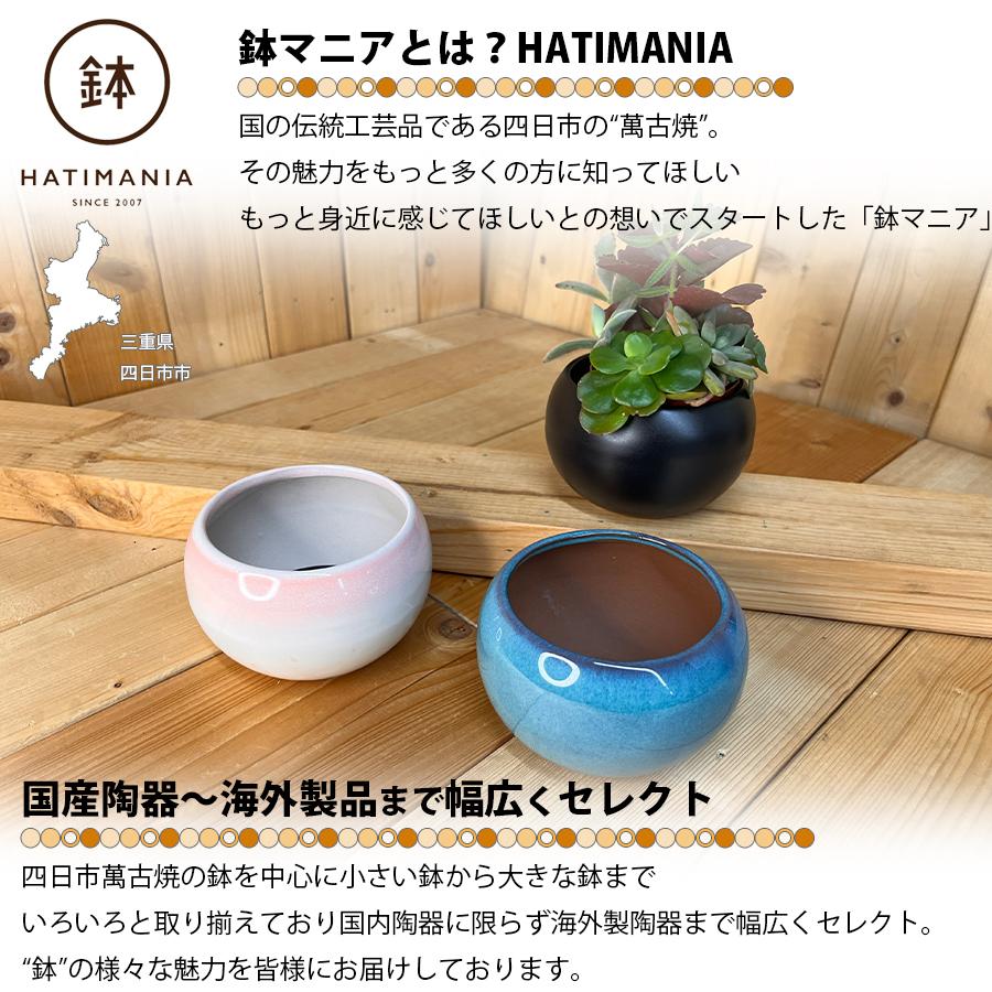 HATIMANIA 鉢マニア 丸 3.5号 盆栽鉢 水が抜けやすい 小さい 小サイズ