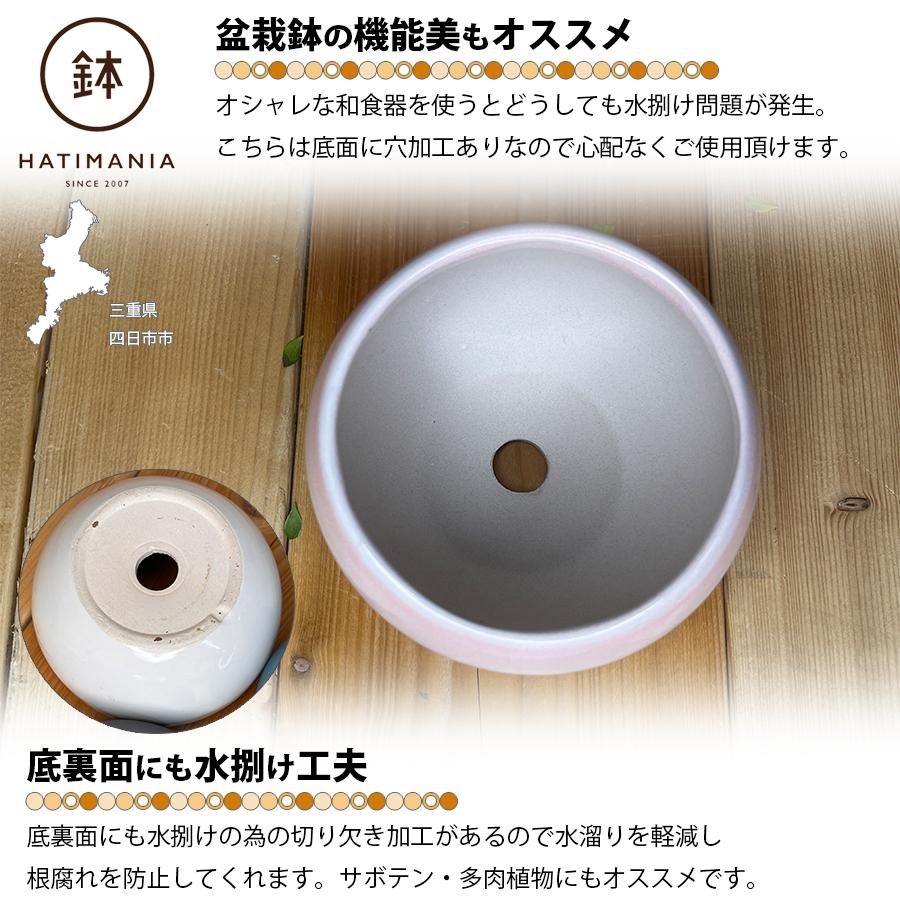 HATIMANIA 鉢マニア 丸 3.5号 盆栽鉢 水が抜けやすい 小さい 小サイズ