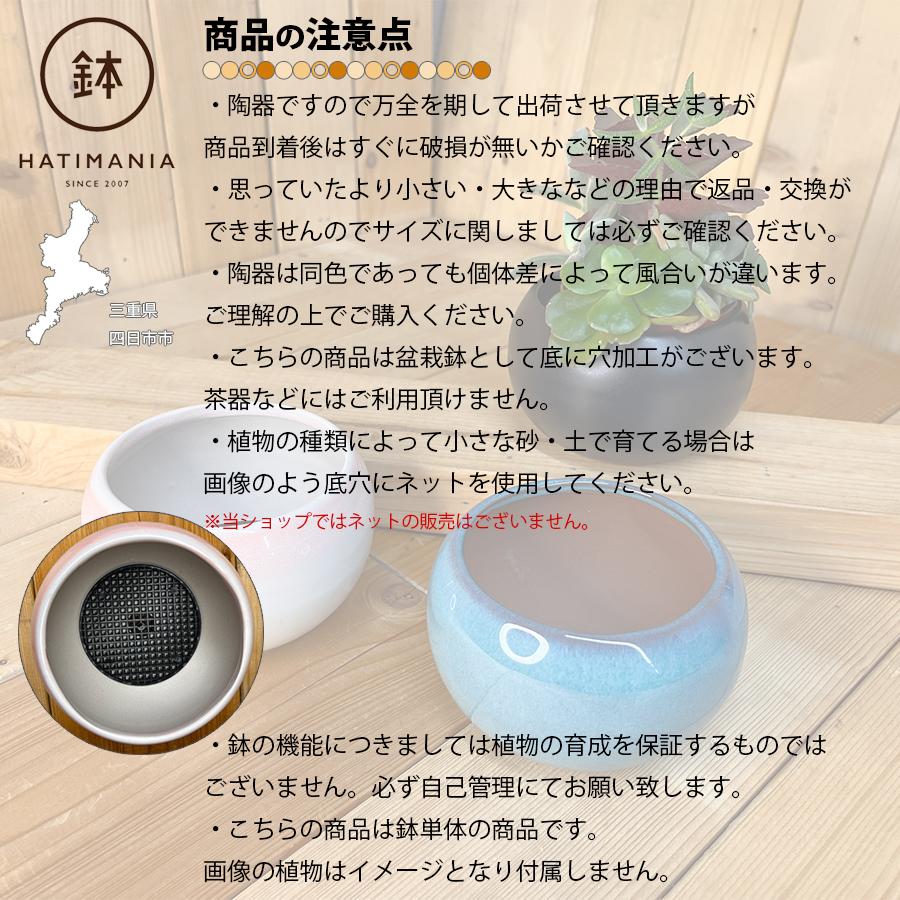 HATIMANIA 鉢マニア 丸 3.5号 盆栽鉢 水が抜けやすい 小さい 小サイズ