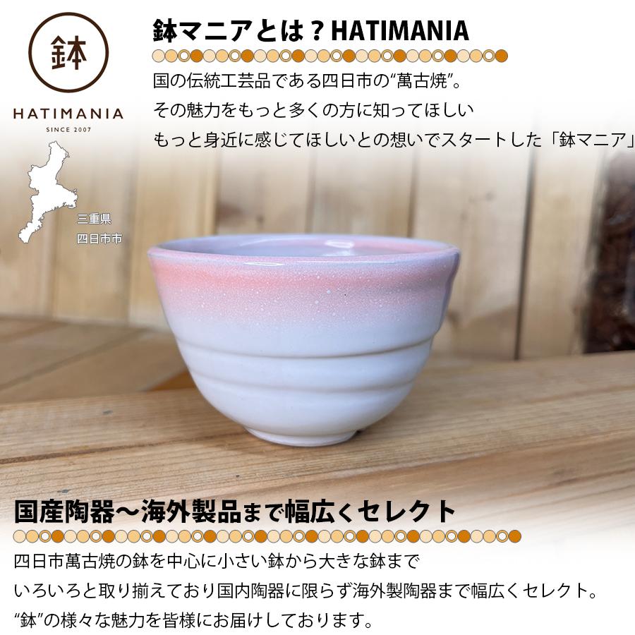 多肉植物鉢 盆栽鉢 植木鉢 小品盆栽鉢 大品盆栽鉢 多肉植栽盆栽鉢 盆栽鉢 植木鉢 小品盆栽鉢 大品盆栽鉢 楽天