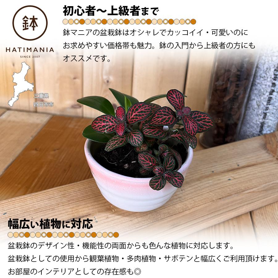 盆栽鉢【水山】③ 盆栽鉢 燿山③時代ミニ盆栽鉢燿山長方