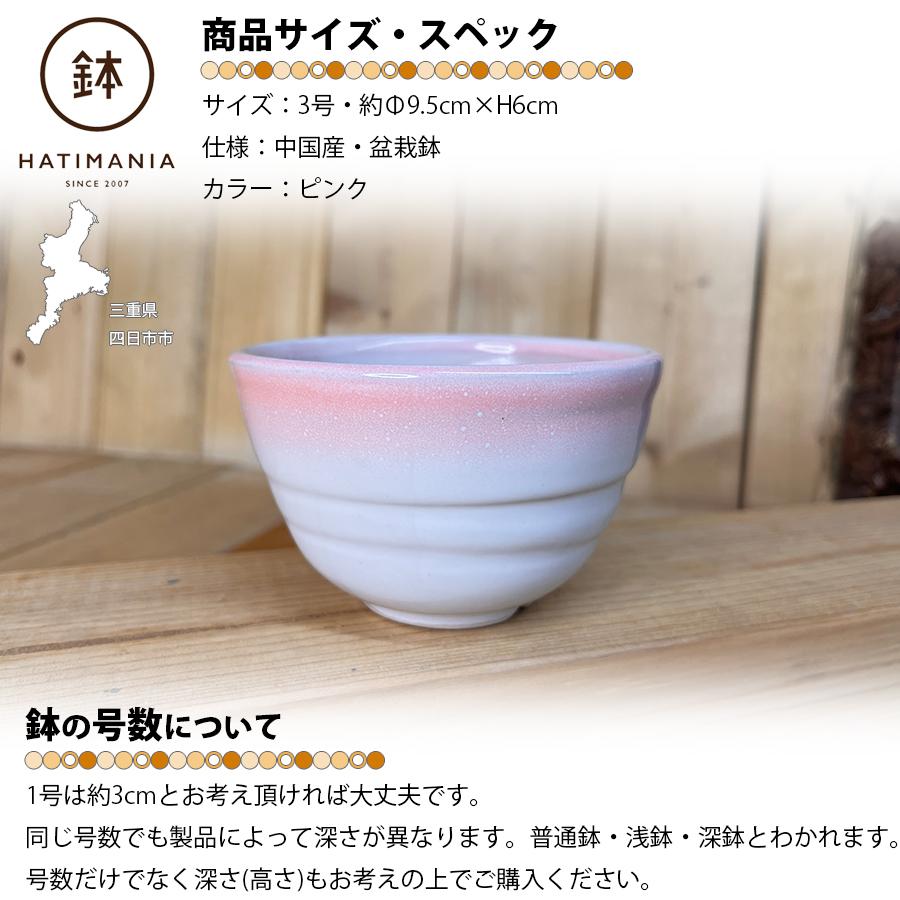 HATIMANIA 鉢マニア 丸型 3号 盆栽鉢 水が抜けやすい 小さい 小サイズ