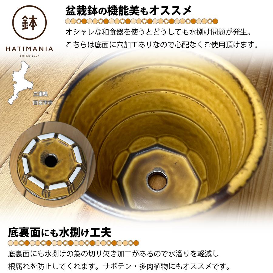 HATIMANIA 鉢マニア 筒型丸深鉢 2.5号 盆栽鉢 日本製 美濃焼 水