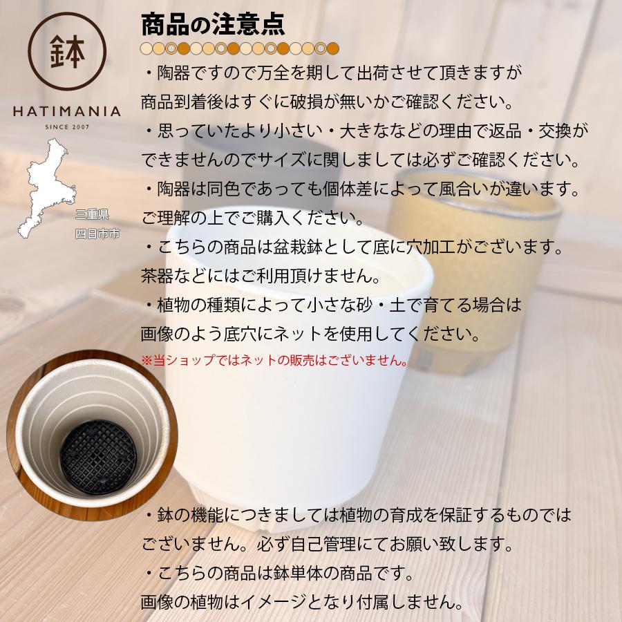 HATIMANIA 鉢マニア 筒型丸深鉢 2.5号 盆栽鉢 日本製 美濃焼 水が抜け