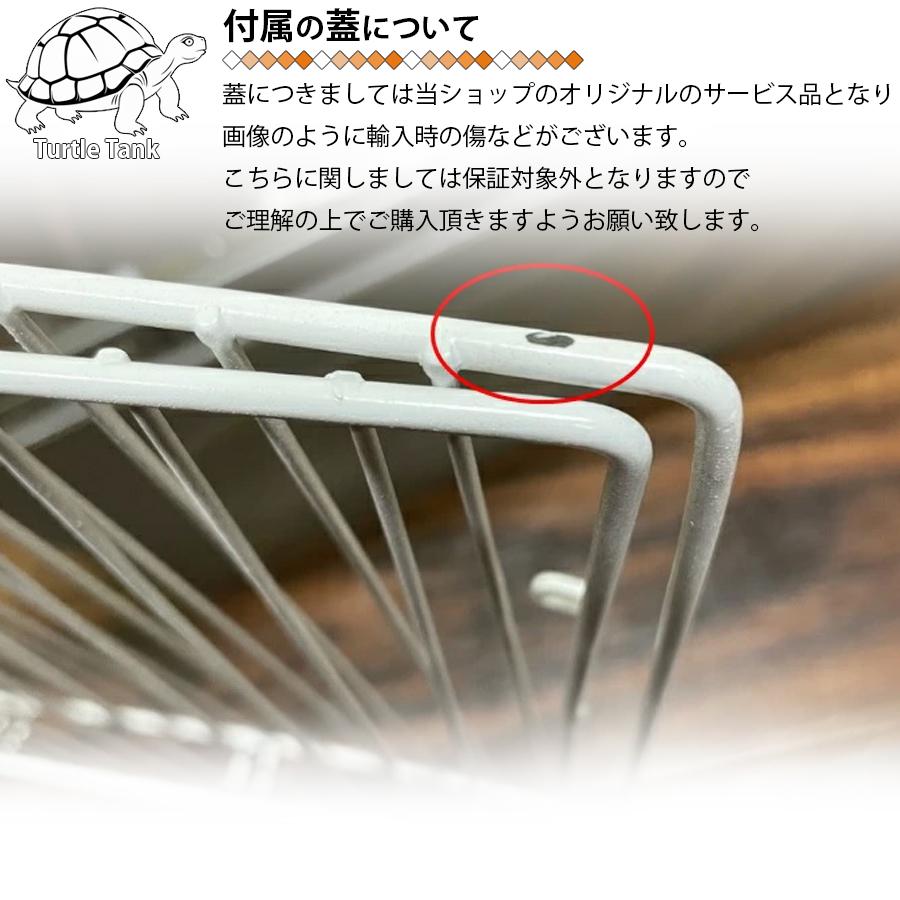 陶器製 染付 唐草 亀 タートル 親子 蓋物 小物入れ 大型サイズ 陶器製 染付 唐草 亀 タートル 親子 蓋物 小物入れ 大型サイズ