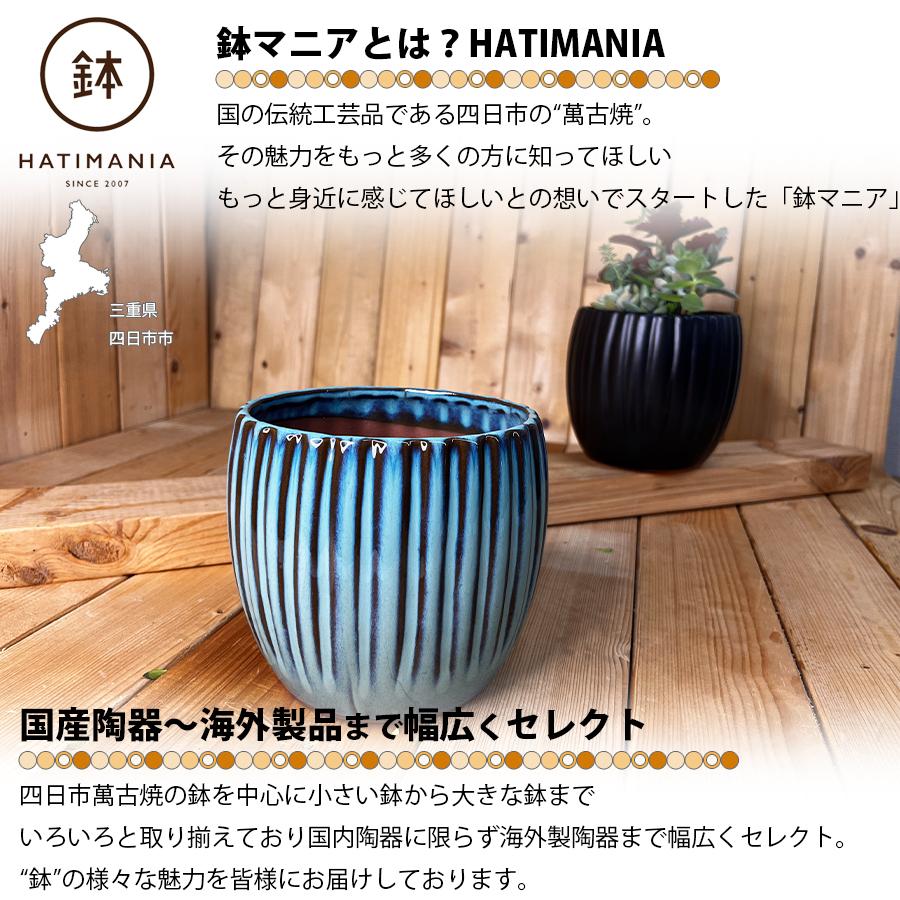HATIMANIA 鉢マニア 丸縦筋鉢 5号 盆栽鉢 水が抜けやすい 陶器 森三
