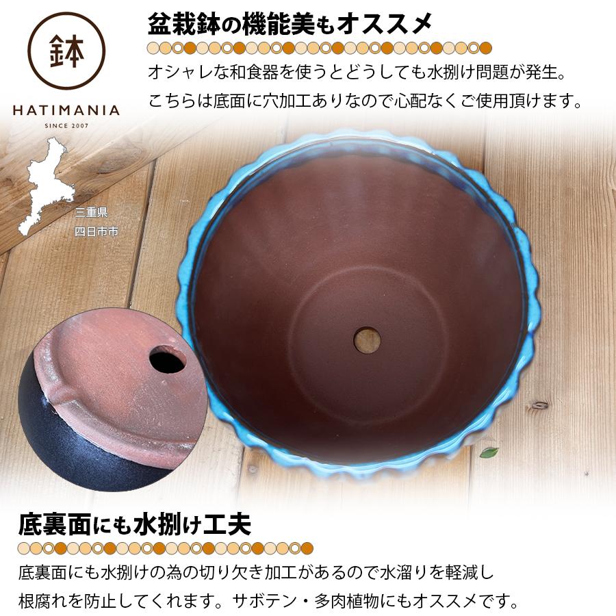 HATIMANIA 鉢マニア 丸縦筋鉢 5号 盆栽鉢 水が抜けやすい 陶器 森三