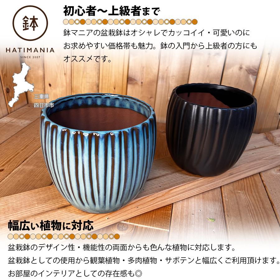 HATIMANIA 鉢マニア 丸縦筋鉢 5号 盆栽鉢 水が抜けやすい 陶器 森三
