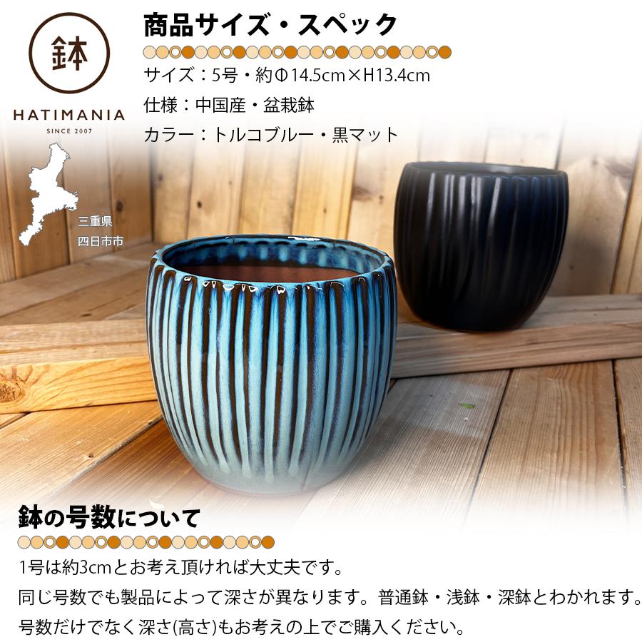 HATIMANIA 鉢マニア 丸縦筋鉢 5号 盆栽鉢 水が抜けやすい 陶器 森三