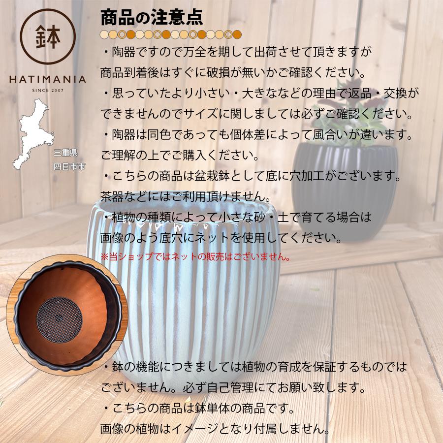 HATIMANIA 鉢マニア 丸縦筋鉢 5号 盆栽鉢 水が抜けやすい 陶器 森三