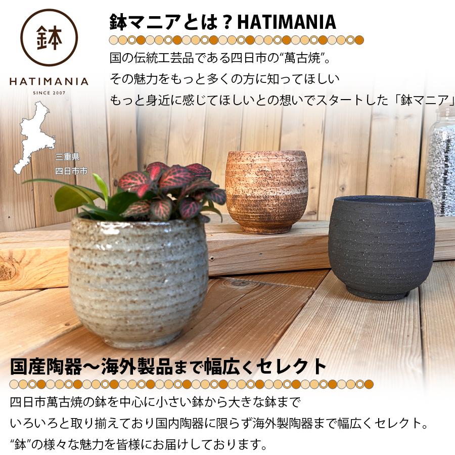 T4U 8CM 多肉植物鉢 狭し おしゃれ 植木鉢 陶器 サボテン鉢 ミニ鉢 T4U 8CM 多肉植物鉢 狭し おしゃれ 植木鉢 陶器 サボテン鉢 ミニ鉢