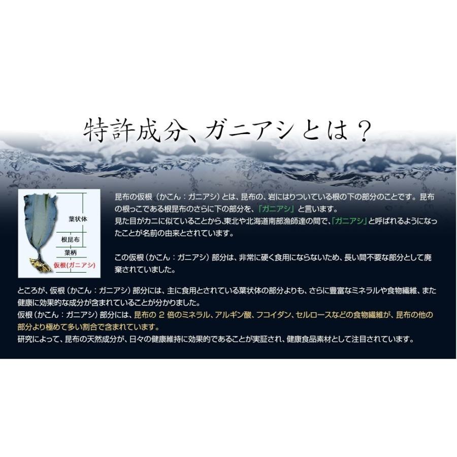 DHC noi ガニアシ 3袋セット : noi - 通販 - Yahoo!ショッピング