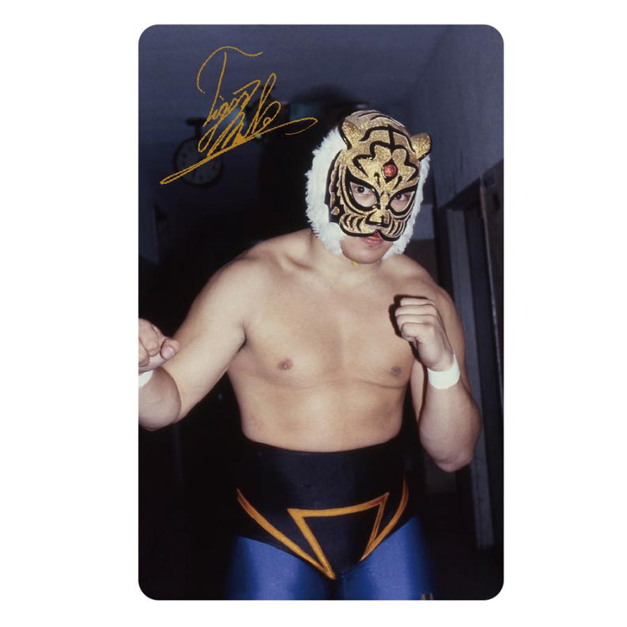 Neu interesse シャッテン TFT伝説 THE FIRST TIGER MASK model