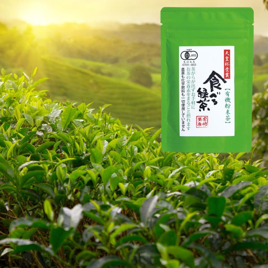 食べる緑茶 宮崎茶房 60g 1袋 無農薬 無添加 オーガニック 有機 栽培 粉末 茶 粉茶 化学肥料 添加物 不使用 ホット アイス 対応 宮崎 国産 日本茶｜noine｜06