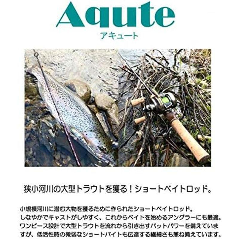 ハルシオンシステム(Halcyon System) アキュート AQ-C48ML Halcyon System アキュート AQ C48ML