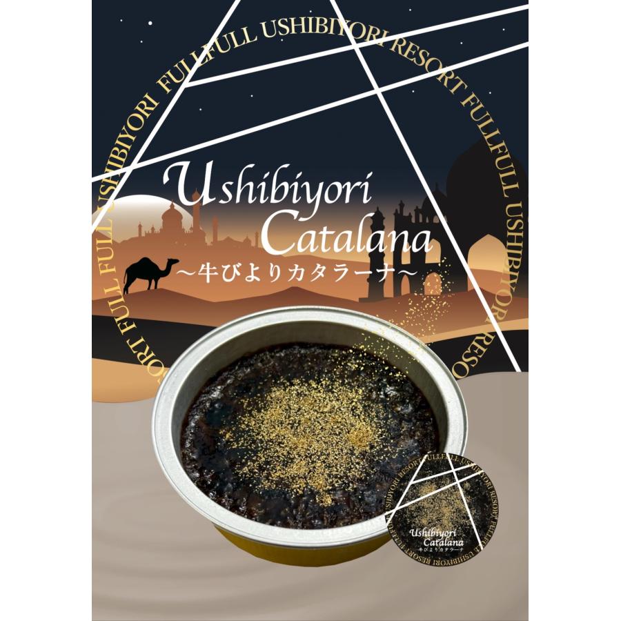 カタラーナ　チョコレート　個包装　アイス　スイーツ　プリン　バレンタイン　ホワイトデー　敬老の日　チョコ味　プレゼント　個食 | 
