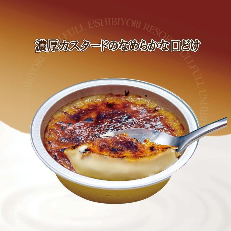 カタラーナ　ギフト　アイス　スイーツ　プリン　バレンタイン　プレゼント　誕生日 |  | 01