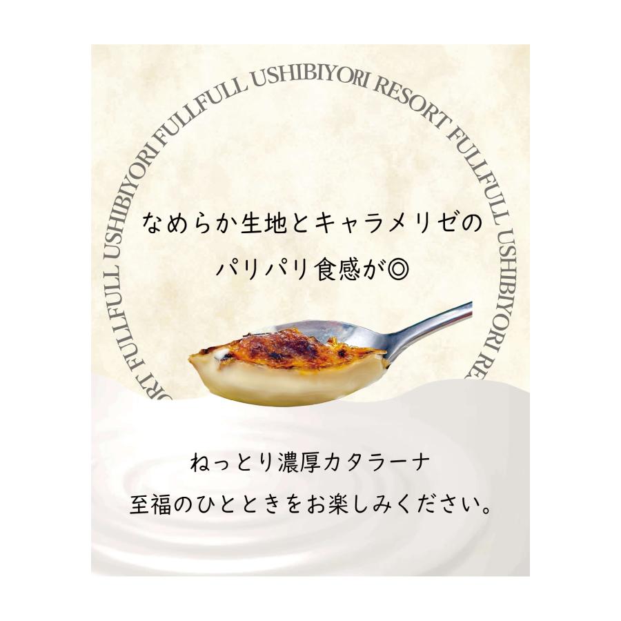 カタラーナ　バニラ　1本　アイス　スイーツ　プリン　バレンタイン　プレゼント　カットなし |  | 02