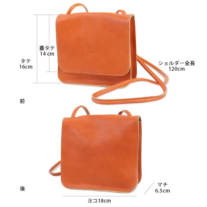 イルビゾンテ スリングバッグ 縦型 オレンジ 希少品 美品 IL BISONTE（イルビゾンテ） バッグ ショルダーバッグ スターロゴ